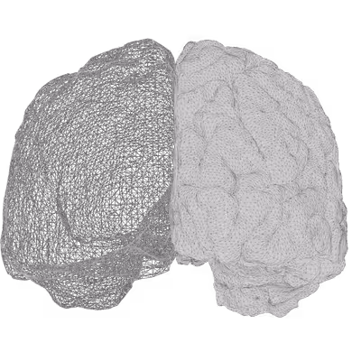 O'Brain Lab Research
