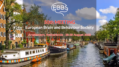Our doctoral researcher Arsene Kanyamibwa attended the 50th meeting of the European Brain and Behaviour Society in Amsterdam.