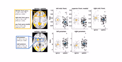 New paper on working memory in obesity