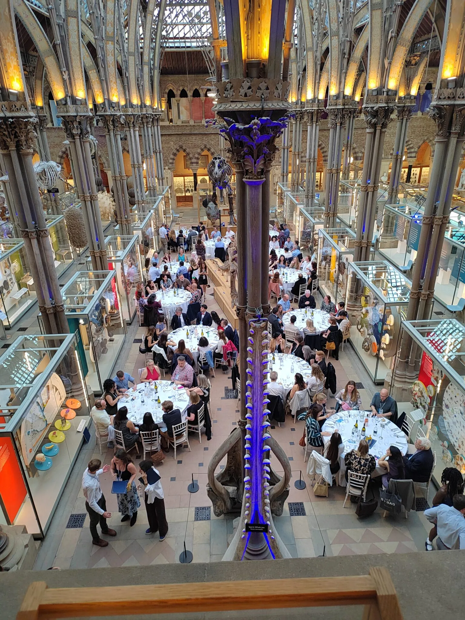 evening and networking