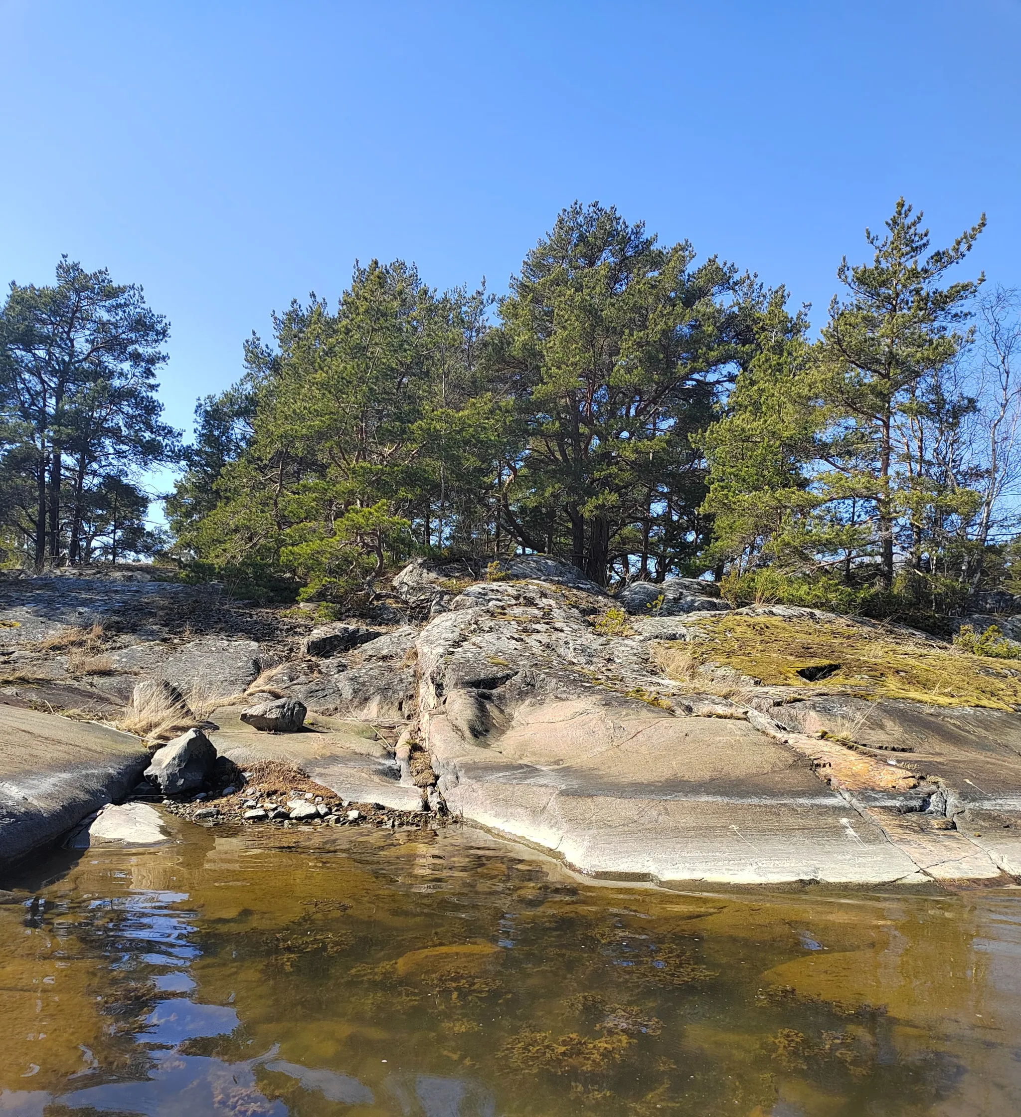 ShallowAquaticHabitat