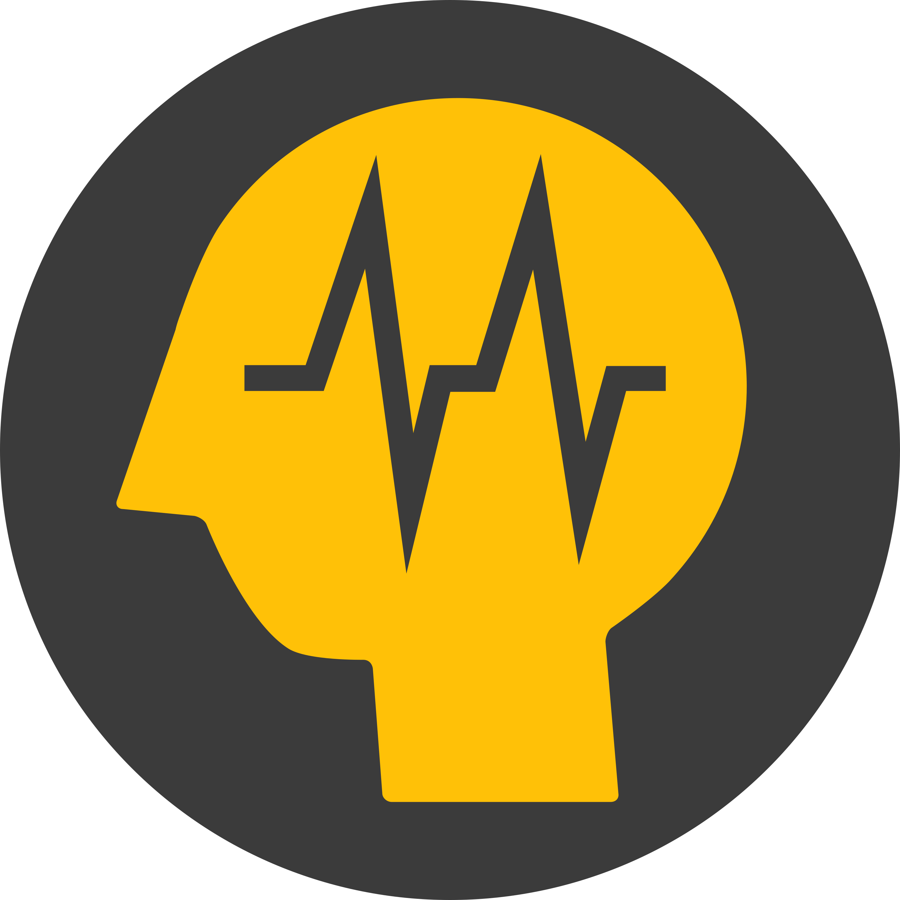 Electroencephalography (EEG)